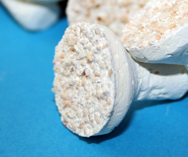 10 Reefplugs für Lichtrasterplatten Ablegersteine Reef Plugs 10 Reefplugs für Lichtrasterplatten Ablegersteine Reef Plugs